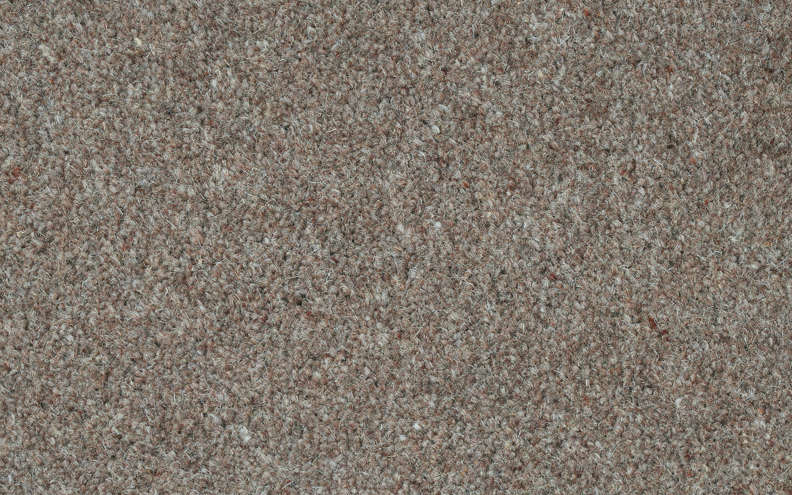 PORTLAND WOOL TWIST danfloor 80/20 Wool mix carpet